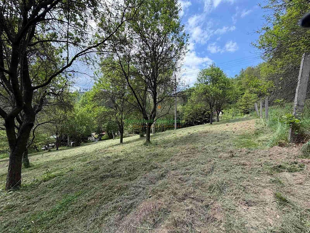 Prodej chaty 25 m², pozemek 1240 m² – fotografie 5