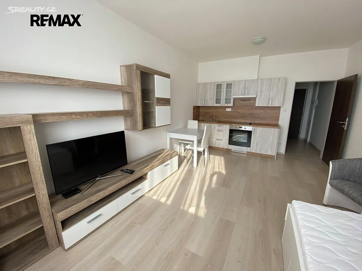 Pronájem bytu 1+kk 29 m² - Widok 2
