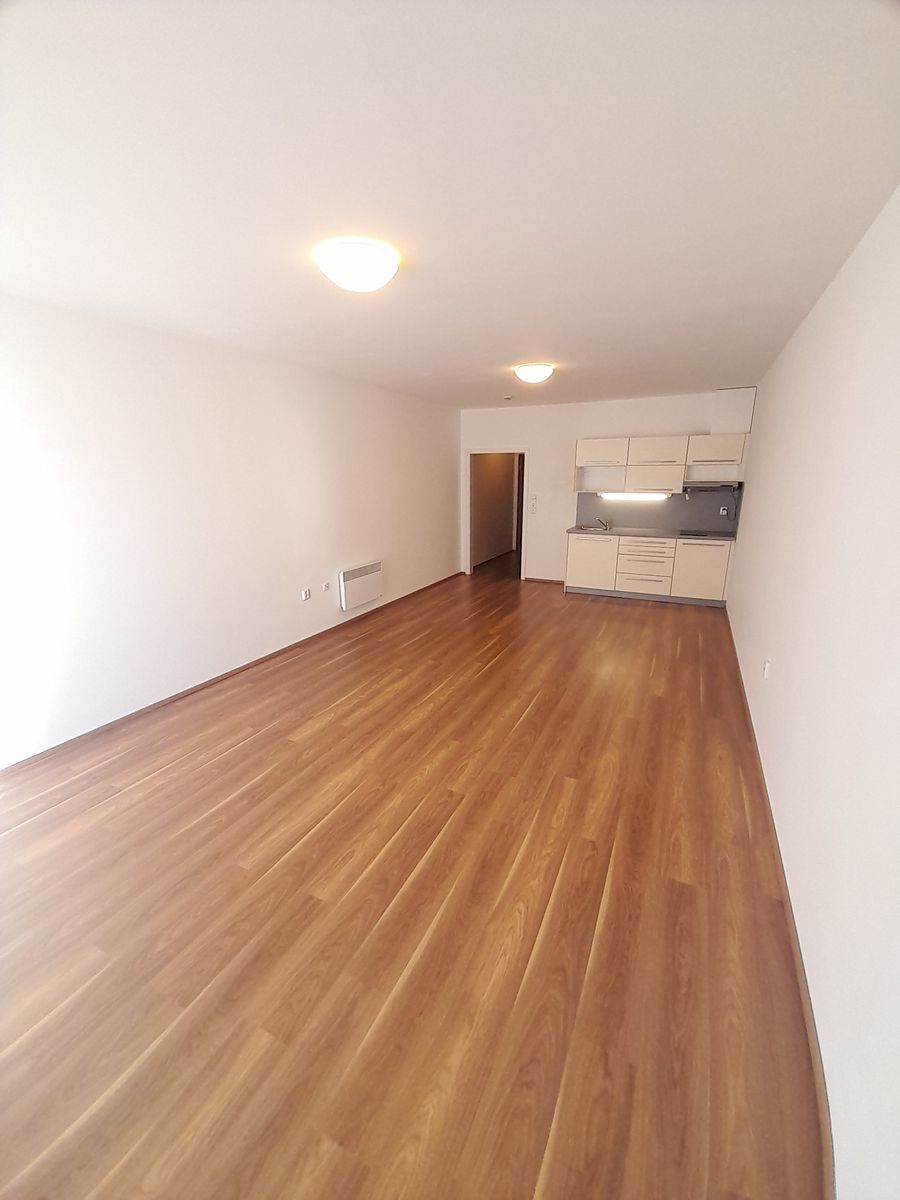 Pronájem bytu 1+kk 40 m² – fotografie 4