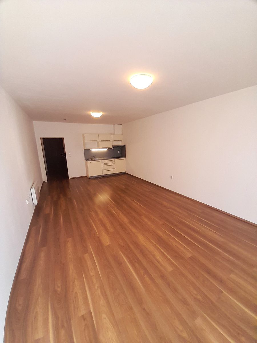 Pronájem bytu 1+kk 40 m² – fotografie 3