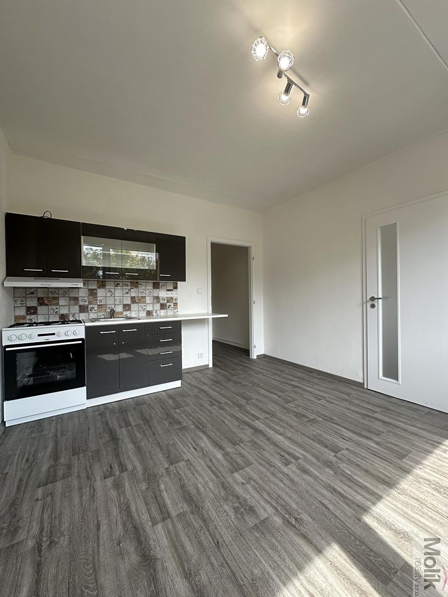 Pronájem bytu 1+1 36 m² – fotografie 2