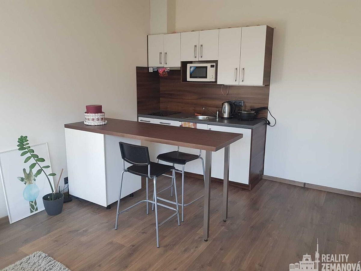 Pronájem bytu 1+kk 30 m²