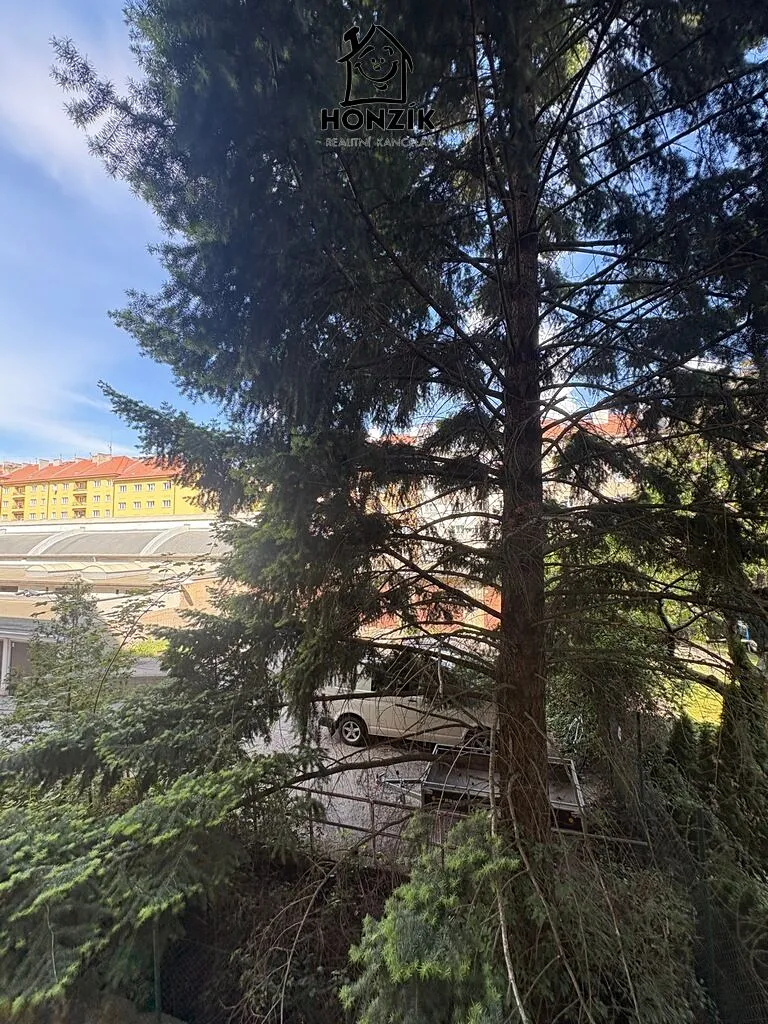 Fotka 10 z 30