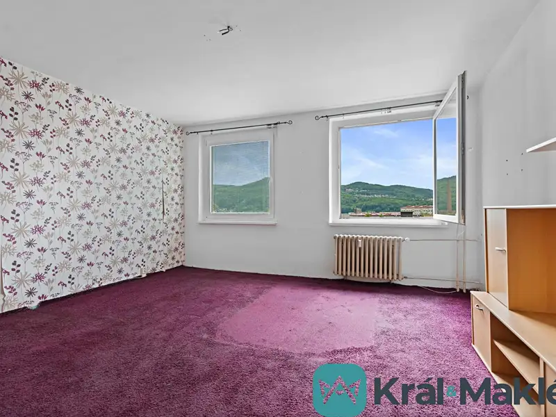 Prodej bytu 2+kk 48 m², Ústí nad Labem – náhled fotky 2