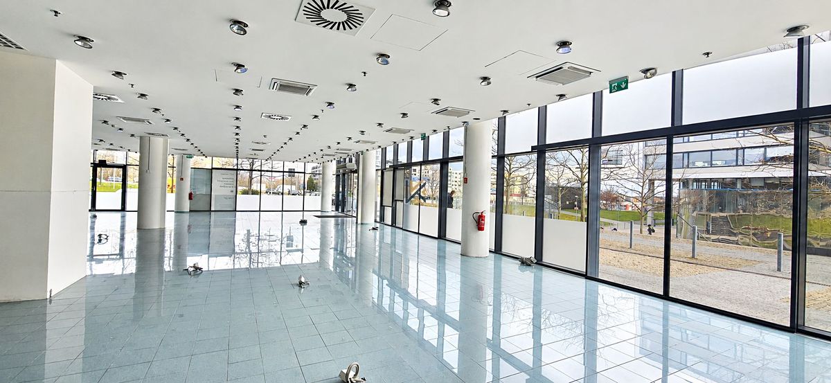 Pronájem obchodního prostoru 206 m²