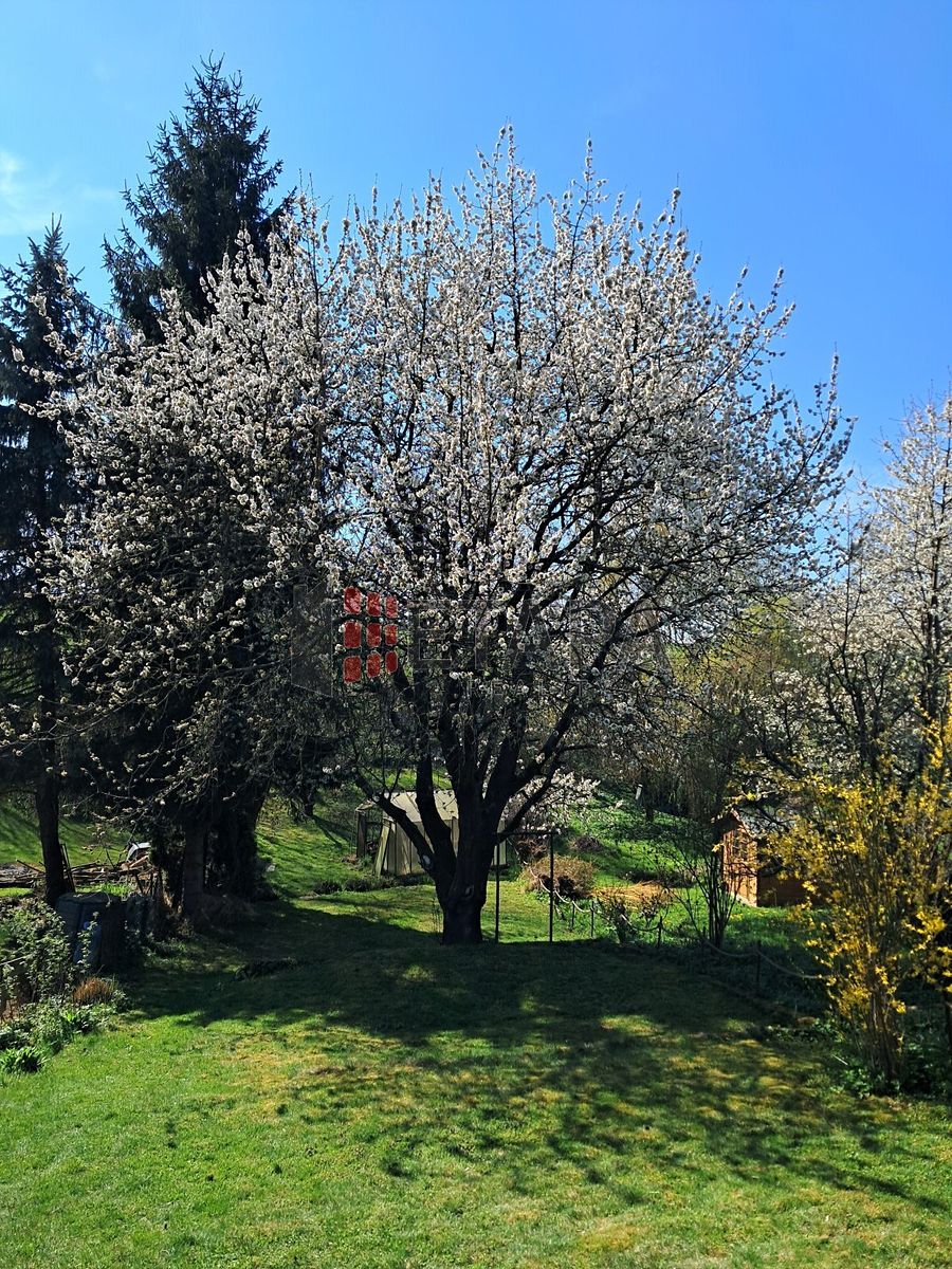 Prodej chaty 24 m², pozemek 464 m² – fotografie 2