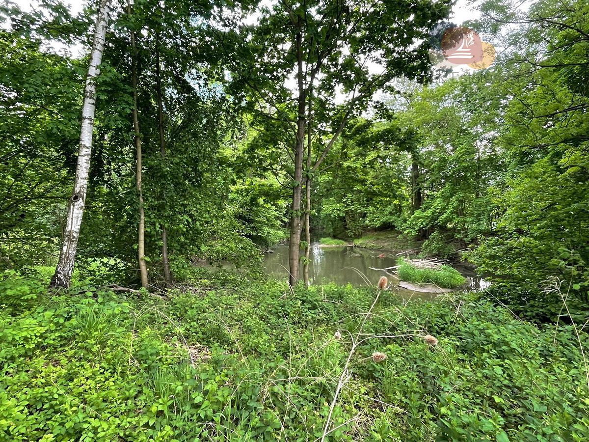 Prodej rodinného domu 993 m², pozemek 12976 m² – fotografie 5
