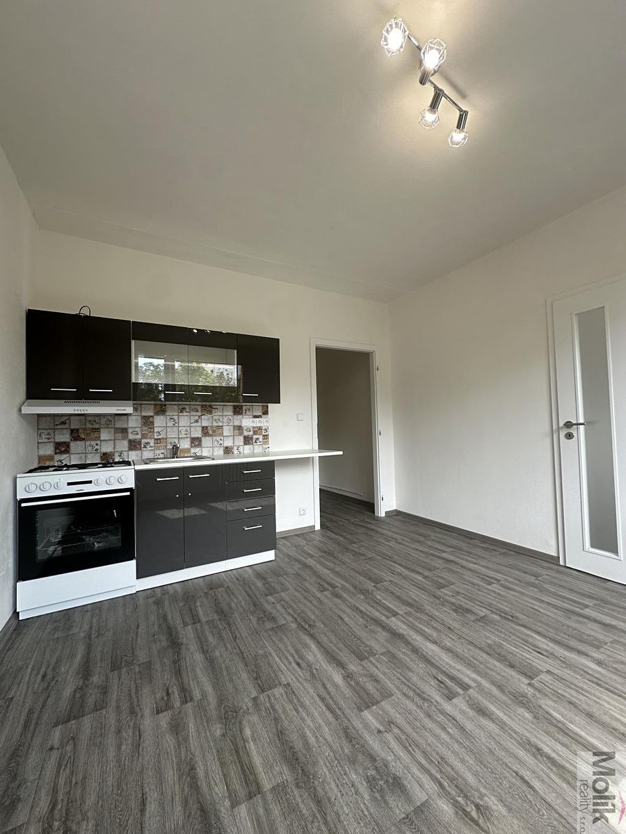Pronájem bytu 1+1 36 m² – fotografie 5