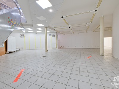 Gewerbefläche zur Miete, 209 m² (2 von 15)