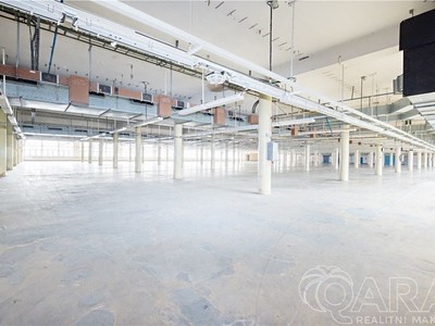 Pronájem komerčního prostoru, 4 000 m² (3 z 18)