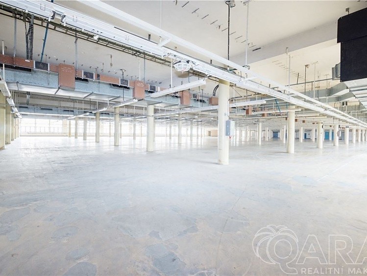 Pronájem komerčního prostoru, 4 000 m² (3 z 18)