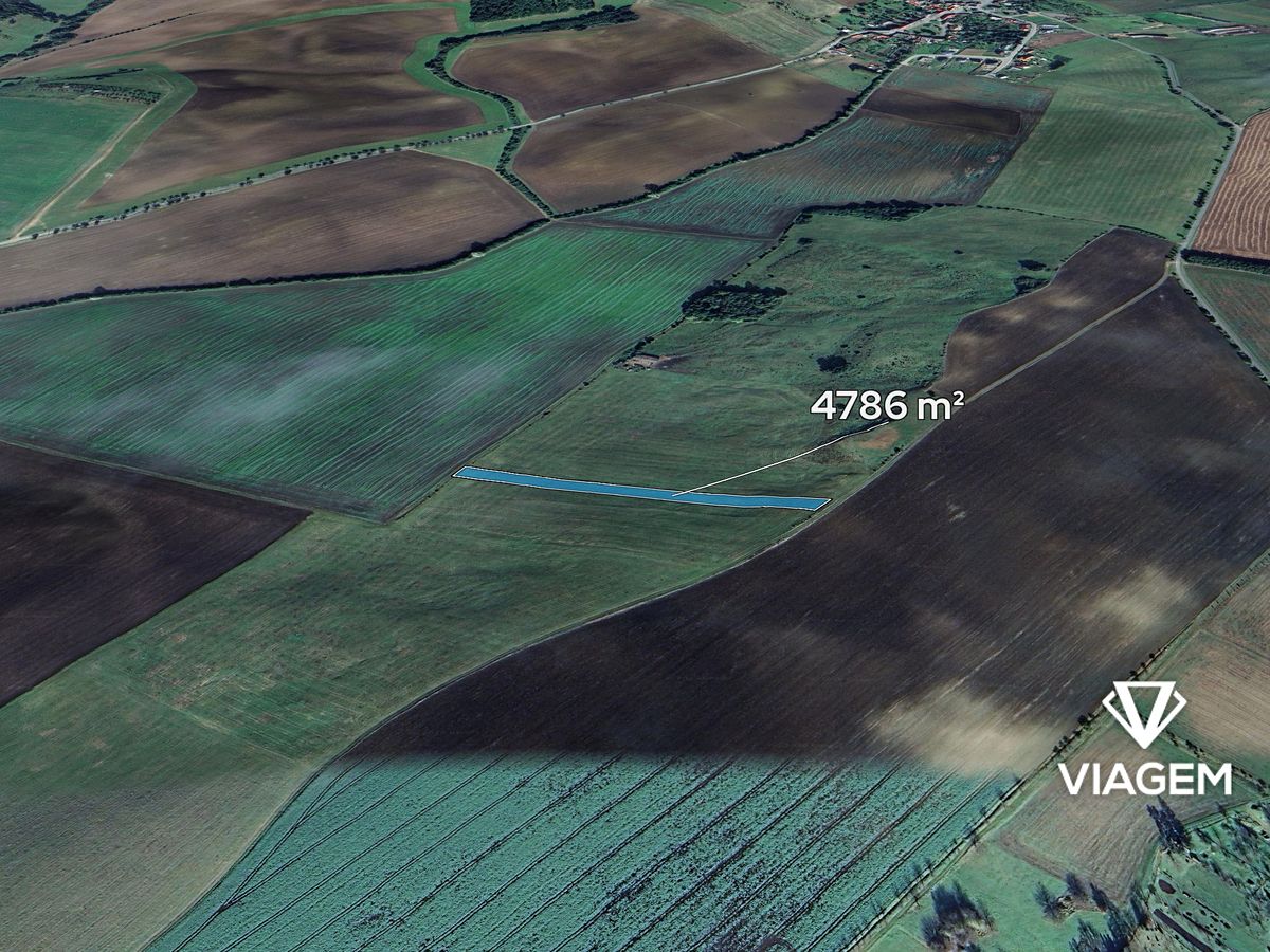 Prodej pole 4786 m²