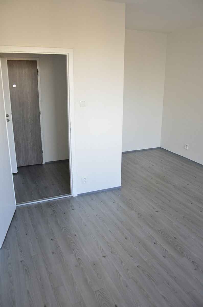 Pronájem bytu 1+1 32 m² – fotografie 4