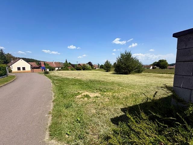 Prodej pozemku, 1 454 m² (3 z 6)