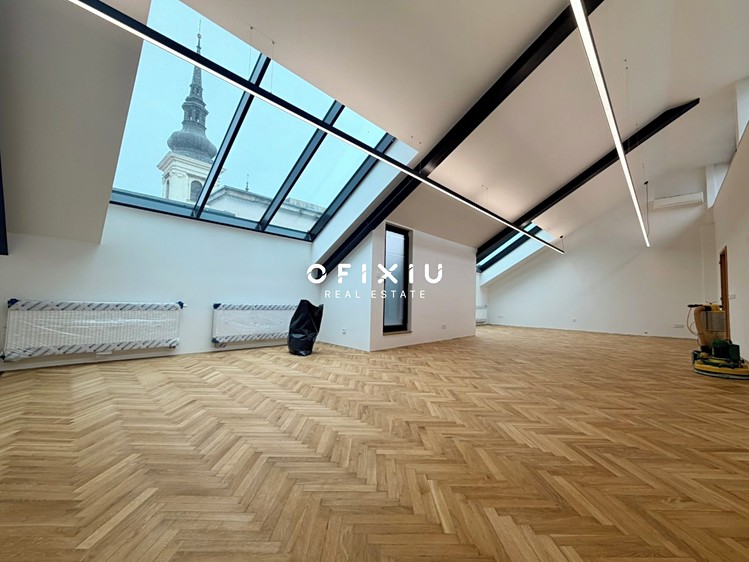 Pronájem komerčního prostoru, 196 m² (4 z 9)