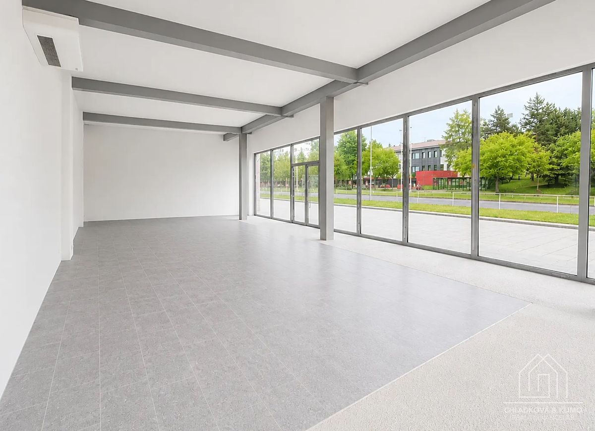 Pronájem obchodního prostoru 120 m² – fotografie 2