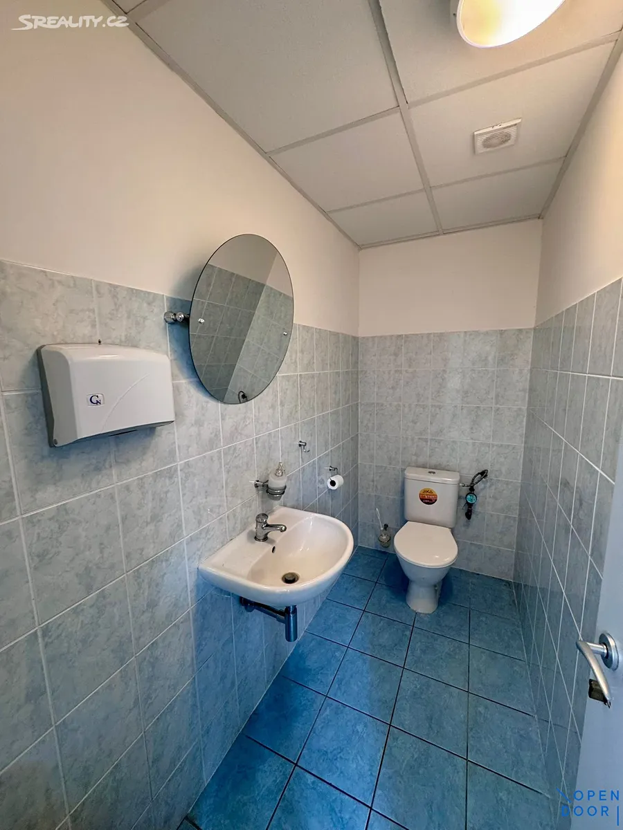 Pronájem obchodního prostoru 45 m² – další