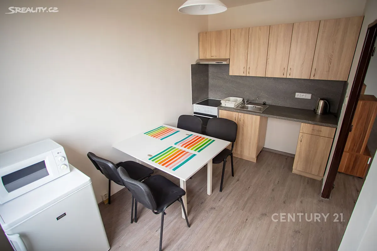 Pronájem bytu 1+1 43 m² - Widok 4