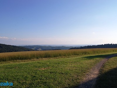 Prodej  louky 867 m²