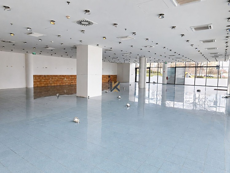 Gewerbefläche zur Miete, 146 m² (2 von 7)
