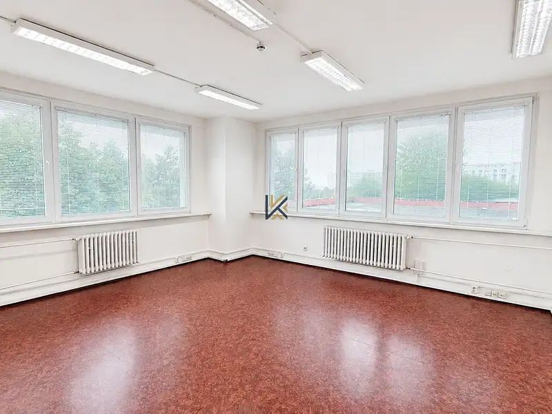 Pronájem obchodního prostoru 450 m², Praha – náhled fotky 3