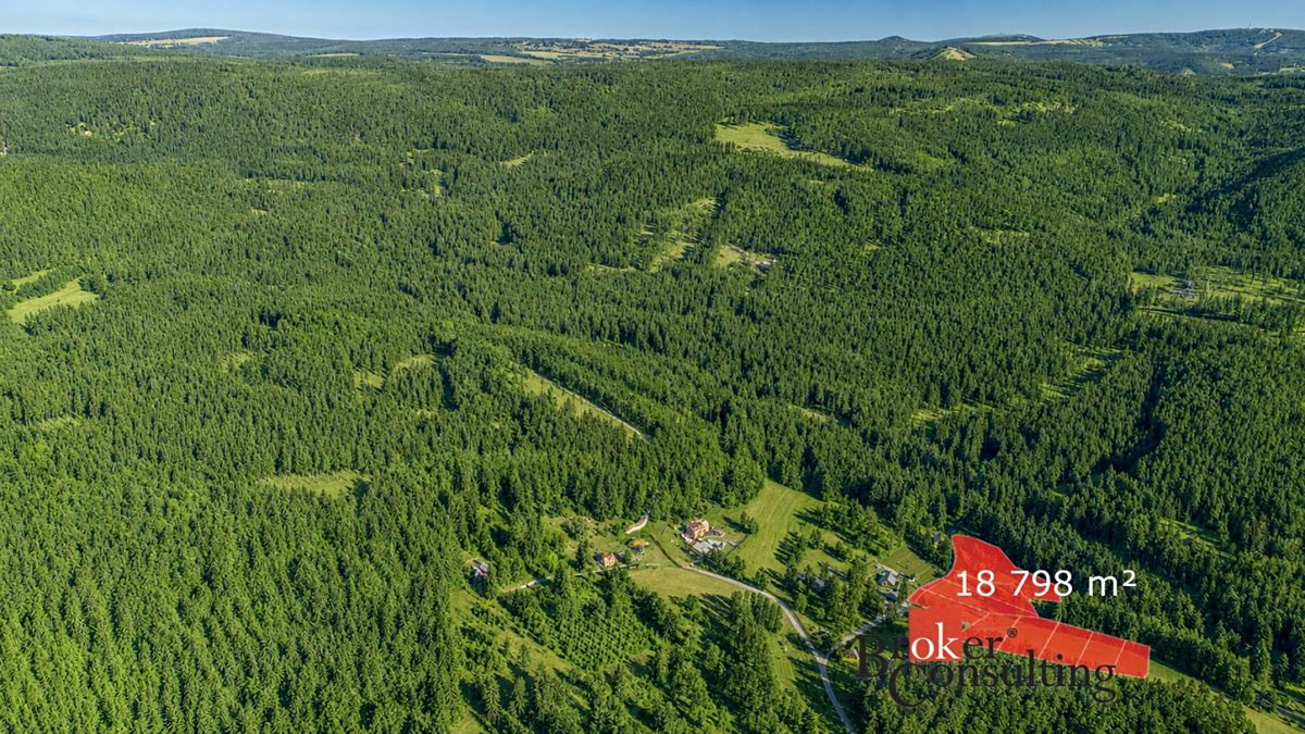 Prodej stavebního pozemku 18781 m² – fotografie 2