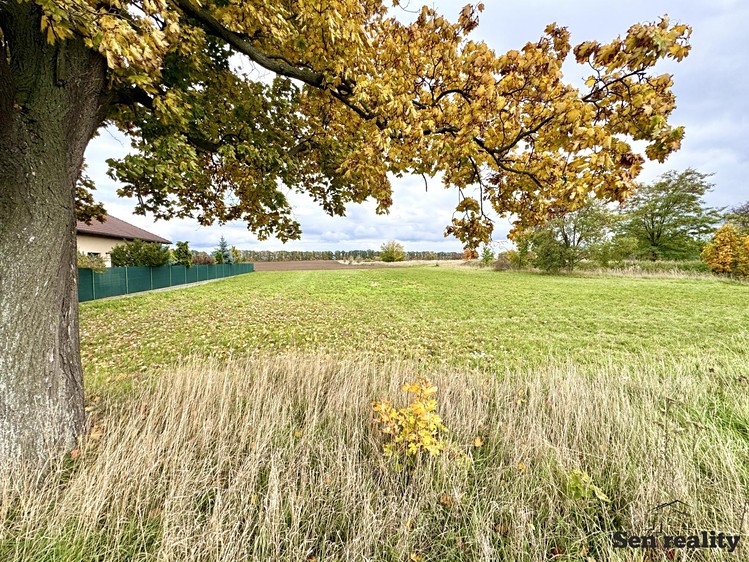 Ділянка на продаж, 800 м² (13 з 26)
