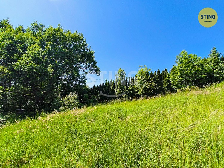 Grundstück zum Kauf, 2.000 m² (8 von 10)