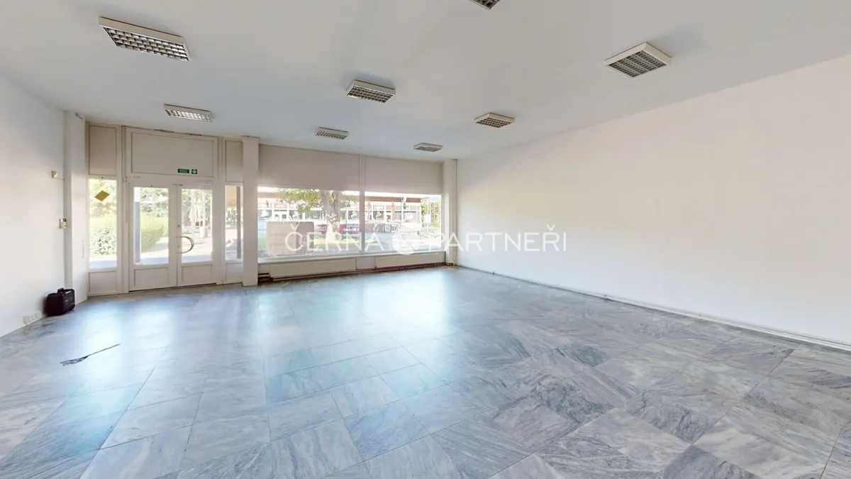 Pronájem obchodního prostoru 319 m²