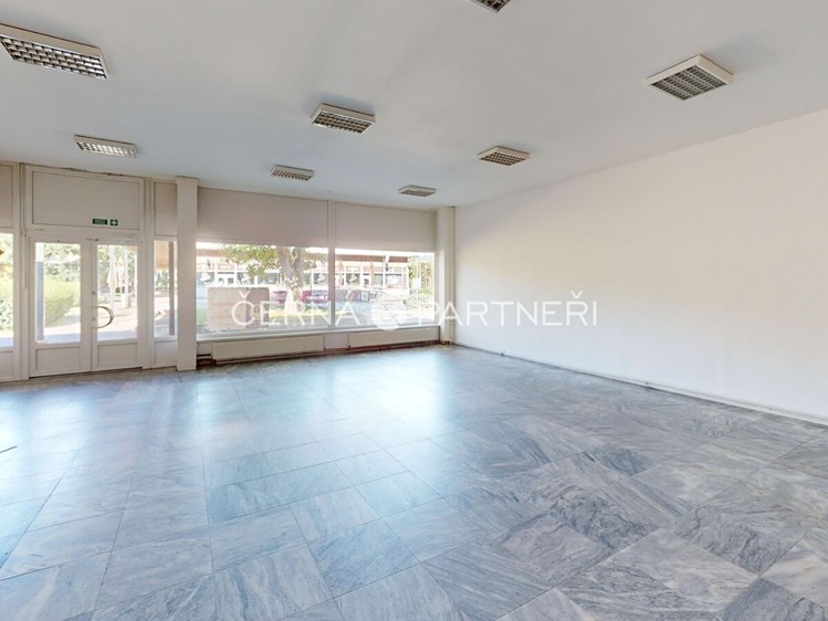 Pronájem komerčního prostoru, 319 m² (1 z 14)