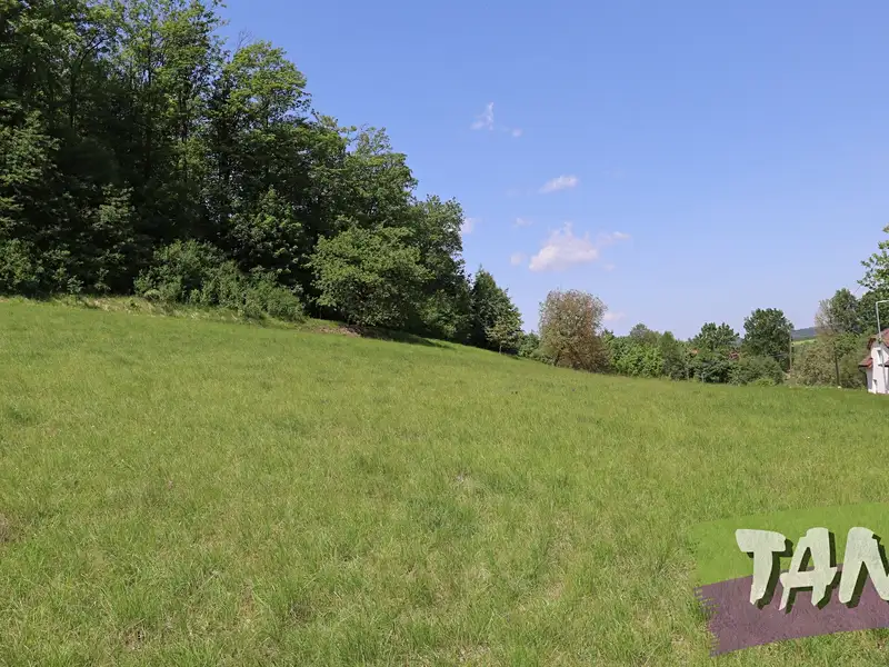 Prodej stavebního pozemku 5012 m², Velký Vřešťov – náhled fotky 3