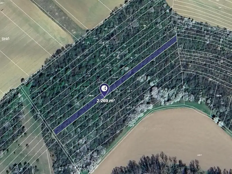 Prodej louky 2269 m², Cetechovice – náhled fotky 1