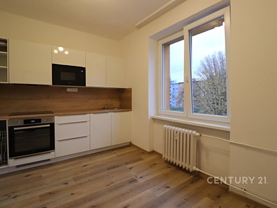 Pronájem bytu 1+1 40 m²