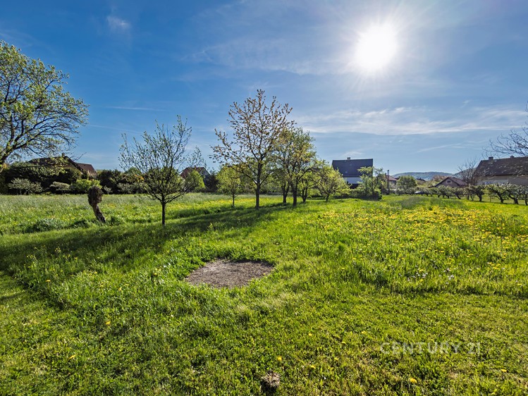 Grundstück zum Kauf, 1.506 m² (10 von 17)