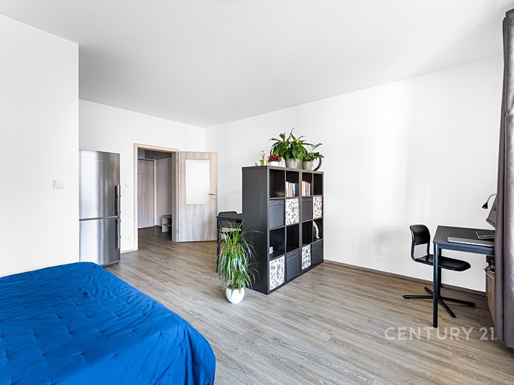 Prodej bytu 1+kk, 38 m² (4 z 25)