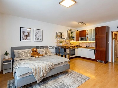 Pronájem bytu 1+kk 36 m²