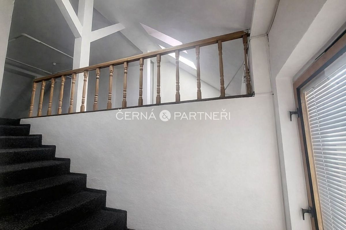 Pronájem komerční nemovitosti 31 m² – fotografie 3