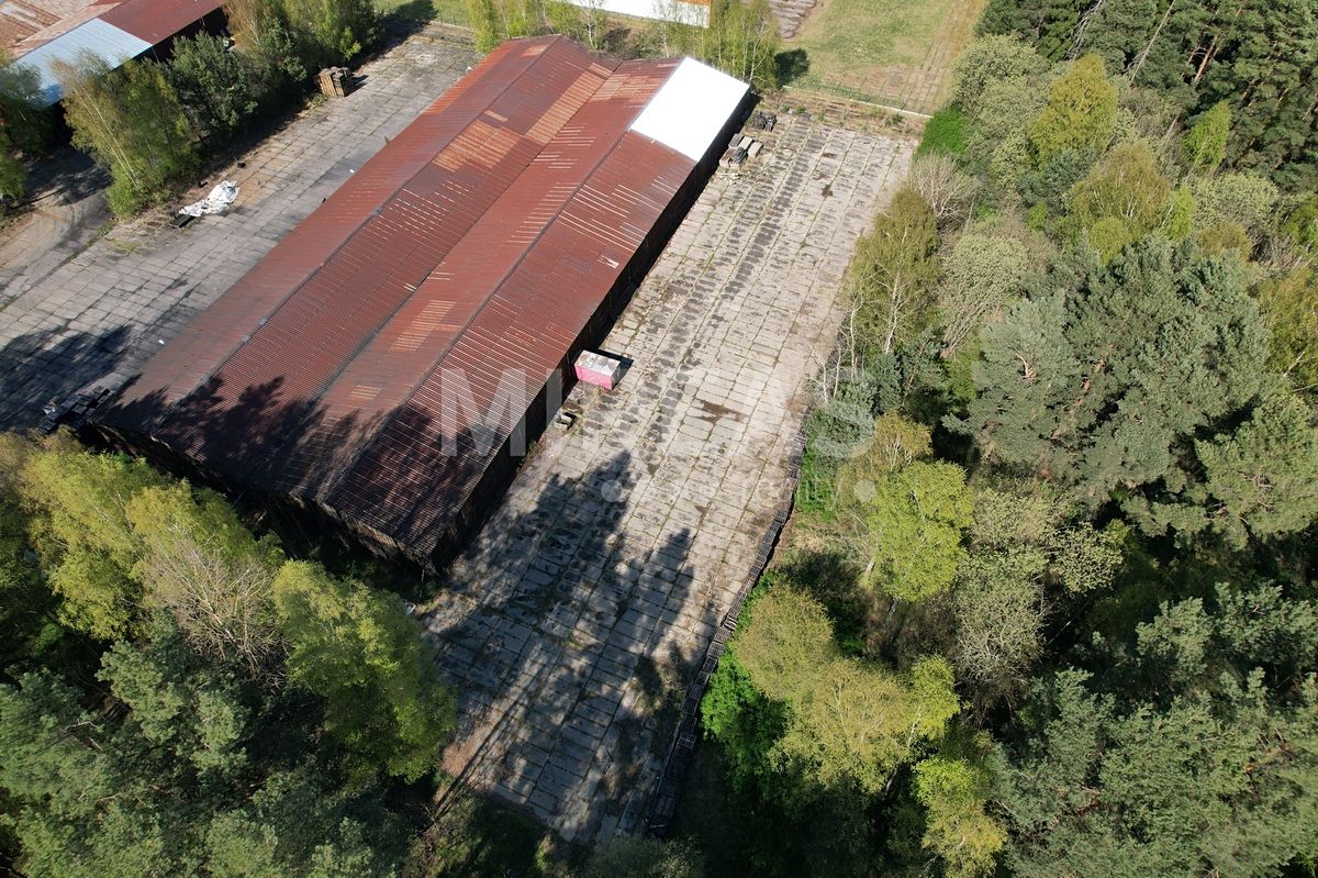 Pronájem komerčního pozemku 1800 m² – fotografie 5