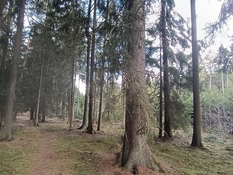 Grundstück zum Kauf, 13.783 m² (4 von 9)