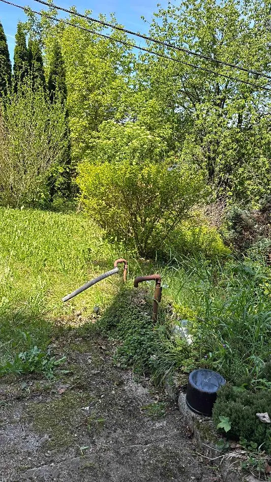 Fotka 29 z 30