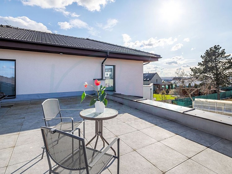 Pronájem domu, 244 m² (20 z 37)