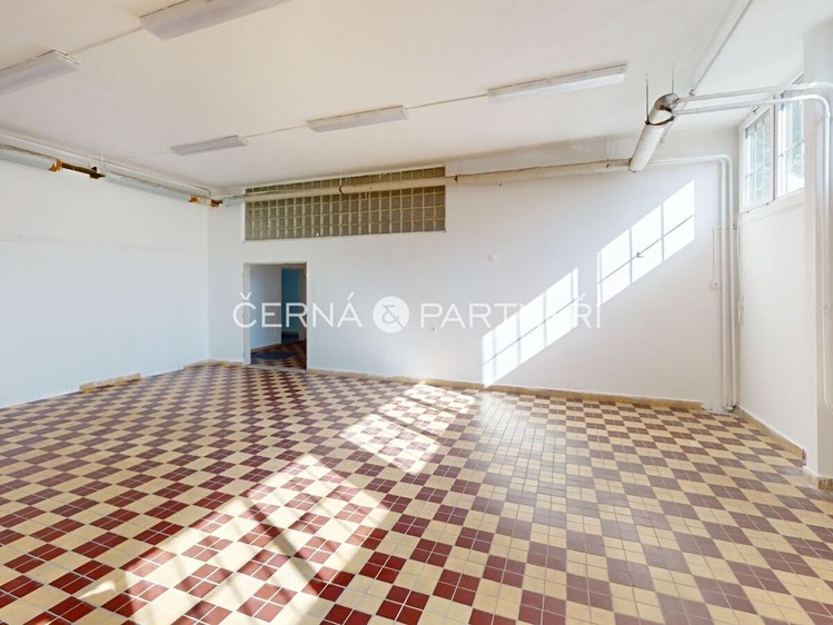 Pronájem komerčního prostoru, 319 m² (7 z 14)