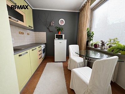 Pronájem bytu 1+1 42 m²
