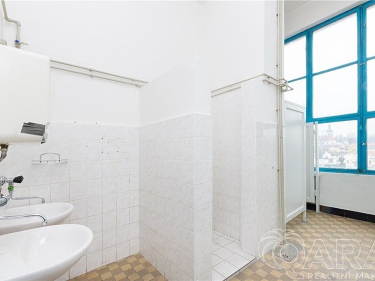Pronájem komerčního prostoru, 4 000 m² (8 z 18)