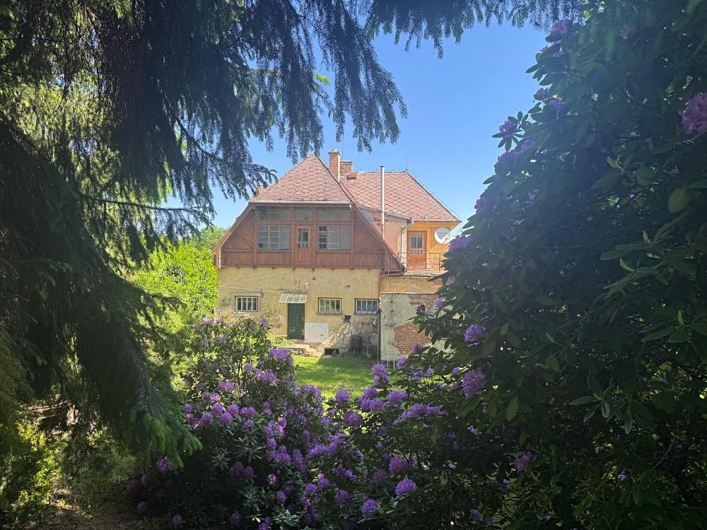 Prodej vily 372 m², pozemek 1036 m² – fotografie 5