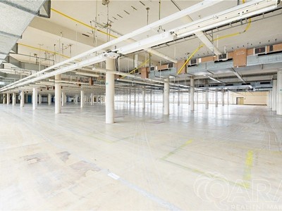 Pronájem komerčního prostoru, 4 000 m² (2 z 18)