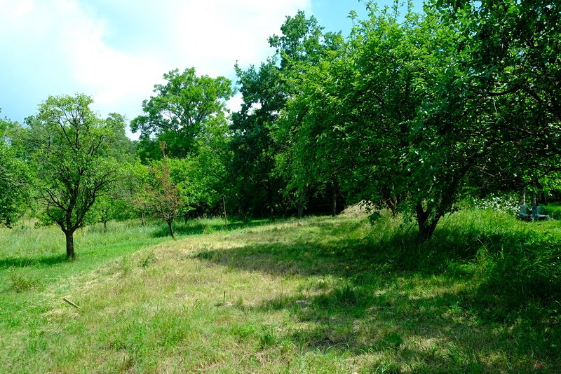 Prodej rodinného domu 75 m², pozemek 555 m² – fotografie 3