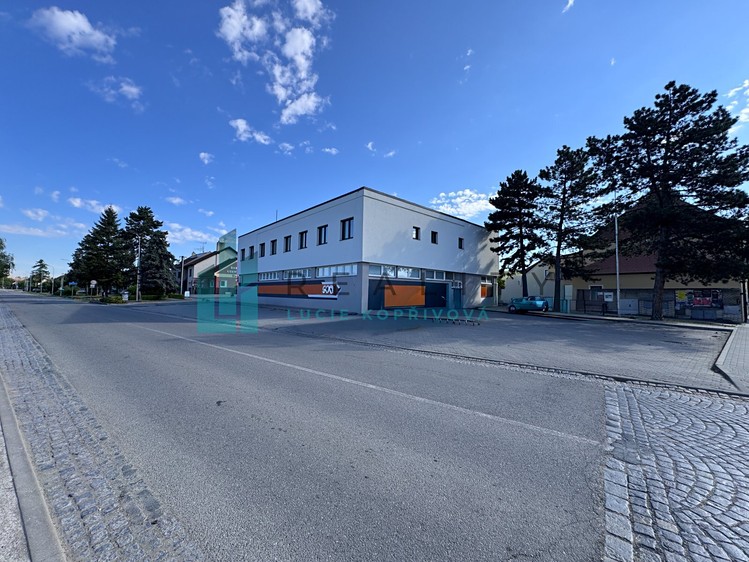 Квартира 3+kk в оренду, 81 м² (21 з 22)