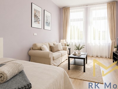 Pronájem bytu 1+1 40 m²