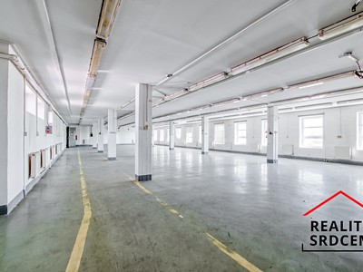 Pronájem komerčního prostoru, 613 m² (3 z 18)
